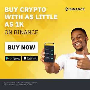 Sales and Marketing Executive at You Centred Consulting