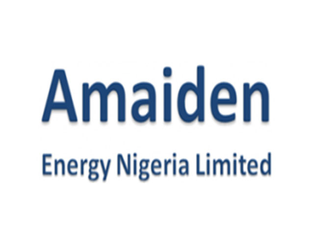 Risk and Loss Prevention Engineer at Amaiden Energy Nigeria Limited