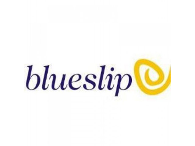 Motion Graphics Designer at Blueslip Limited