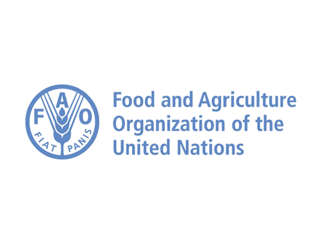 ECTAD National Operations / Admin Assistant at the Food and Agriculture Organization of the United Nations (FAO-UN)