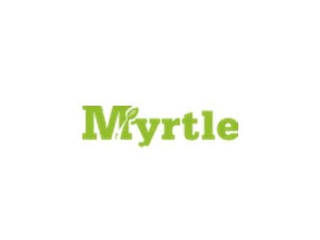 Web Designer at a Reputable Marketing and Brand Communication Agency – Myrtle Management Consultants Limited