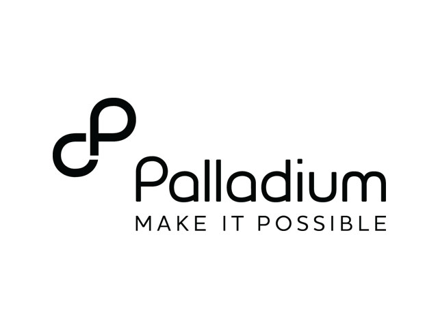 Consultant – Survey, Surveillance and Population Size Estimation at Palladium Group