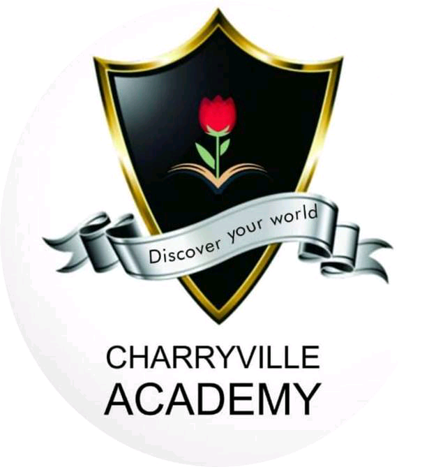 Public Relations Officer (PRO) at Charryville Academy