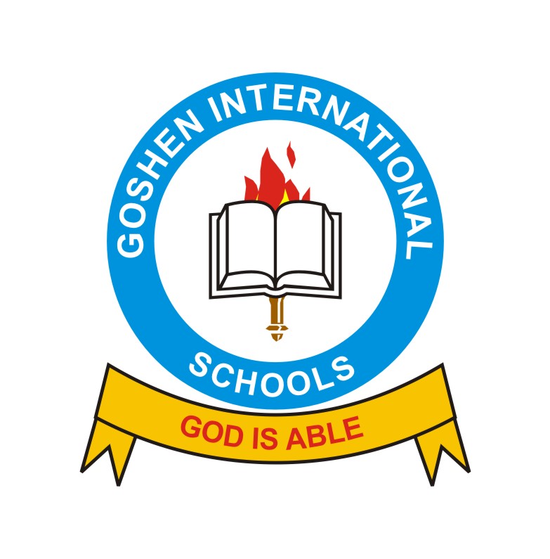 Computer / Data Processing Teacher at Goshen College HotNigerianJobs