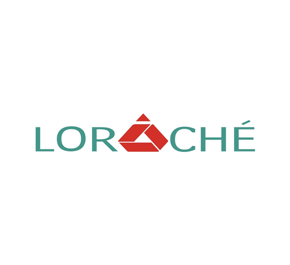 Dealership Development Executive at Lorache Consulting Limited