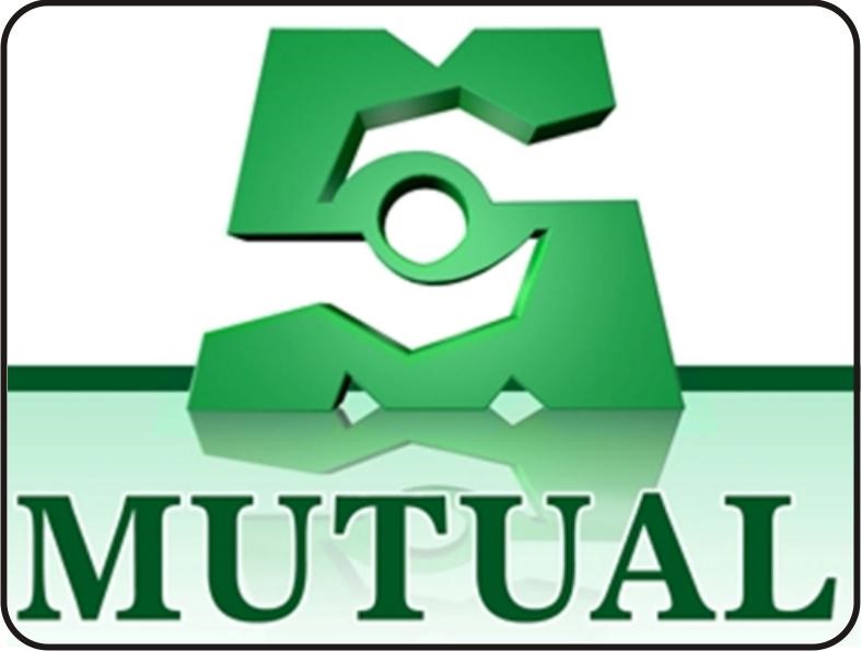 Unit Head, Internal Audit at Mutual Benefit Assurance Plc