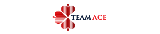 Account Officer at a Mechanical and Electrical Contracting Organization – TeamAce Limited