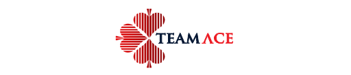 Executive Assistant at a Leading Marine Logistics and Procurement Company – TeamAce Limited